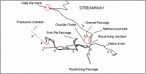 Upper Flood Swallet Survey